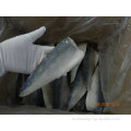 Frozen Mackerel Fish Fillet Product